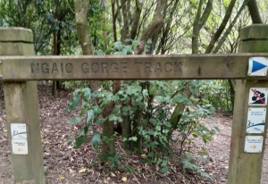 The Ngaio Gorge Track