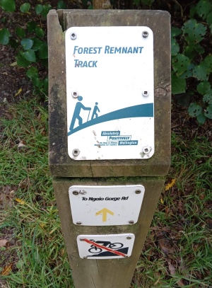 One start of the Forest Remnant Track