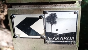 Te Araroa Trail